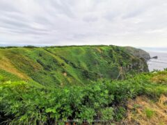 日本海側は断崖絶壁 観音岬が一望できる観音岬園地【北海道 天売島 観光】