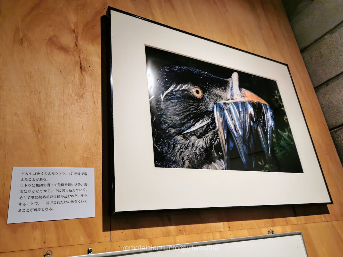 14ウトウ.jpg 14ウトウ