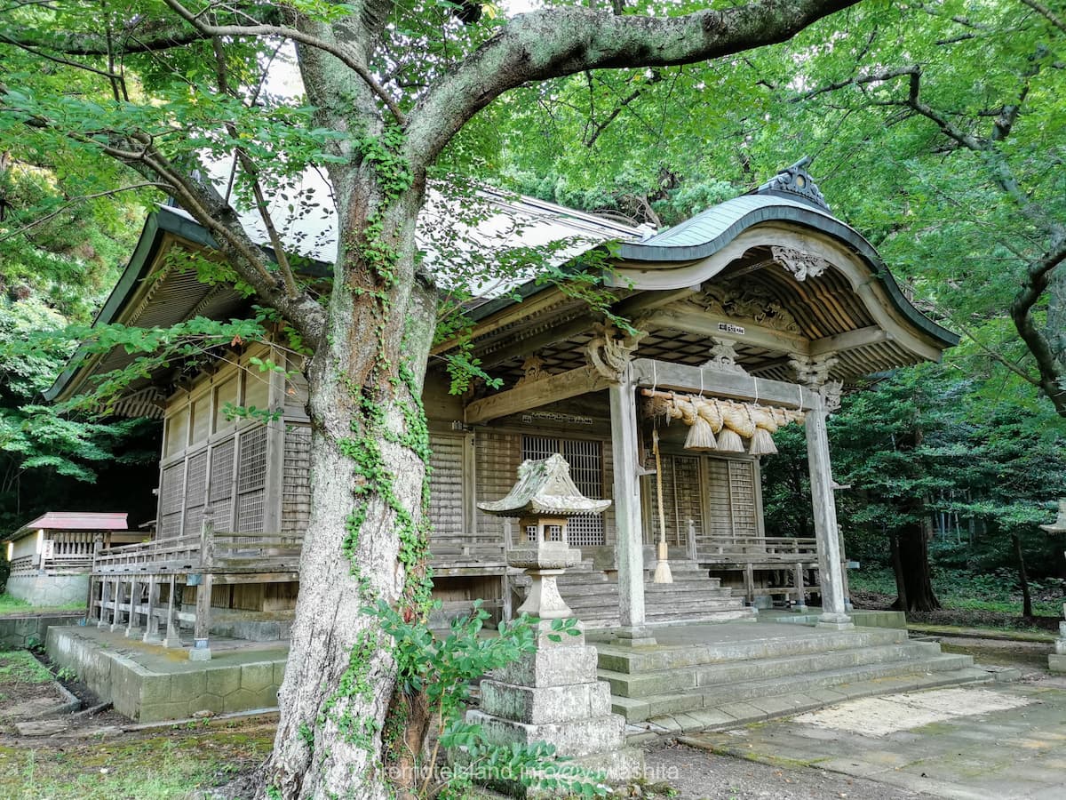 06拝殿.jpg 06拝殿