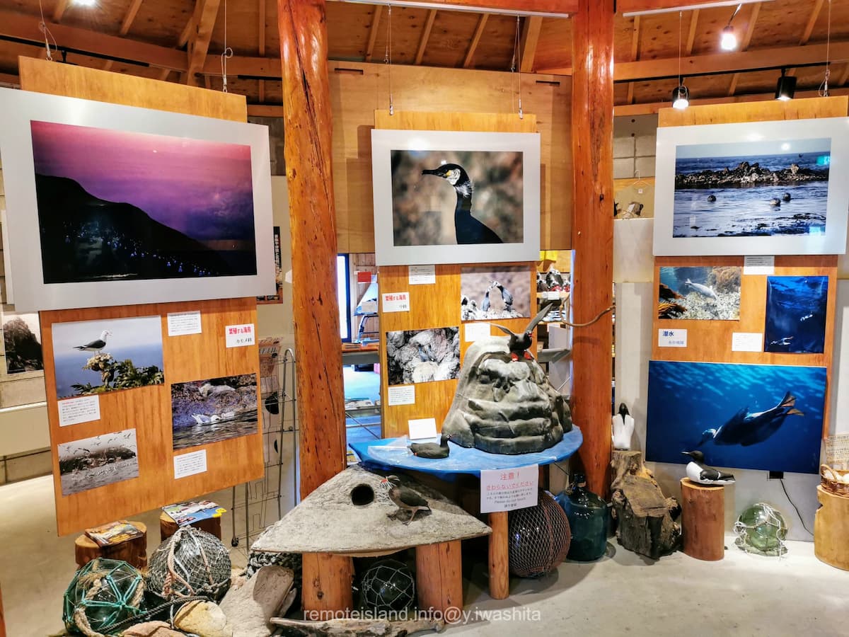 15カモメ科ウ科.jpg 15カモメ科ウ科