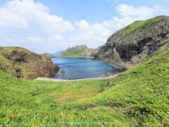 透き通った綺麗な海！西海岸にある澄海岬【北海道 礼文島 観光】