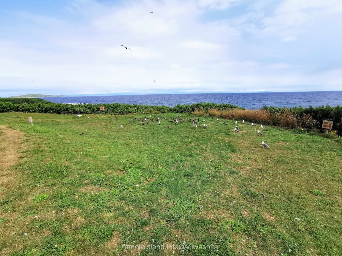 14黒崎海岸付近.jpg 14黒崎海岸付近