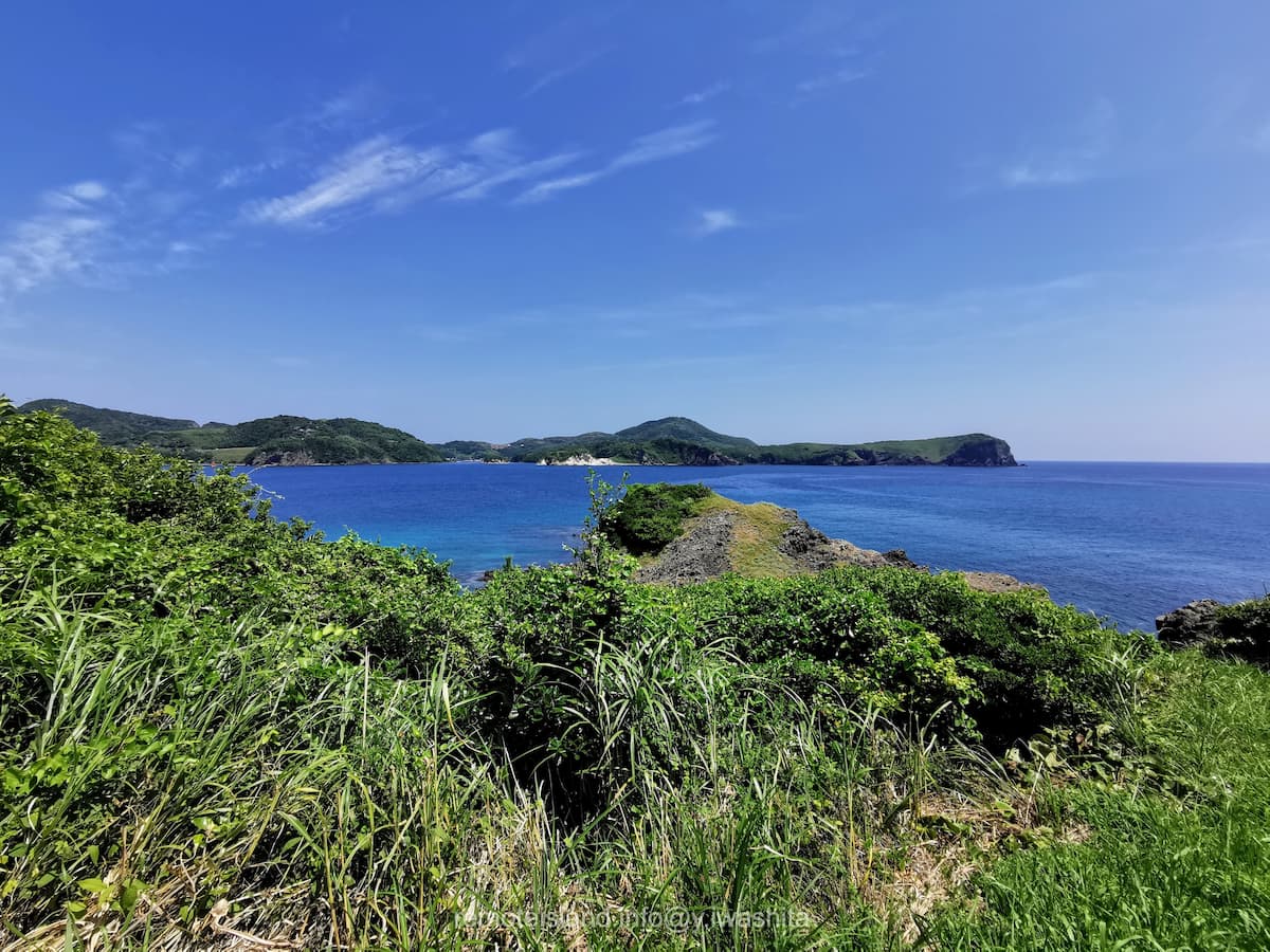 06歩道から.jpg 06歩道から