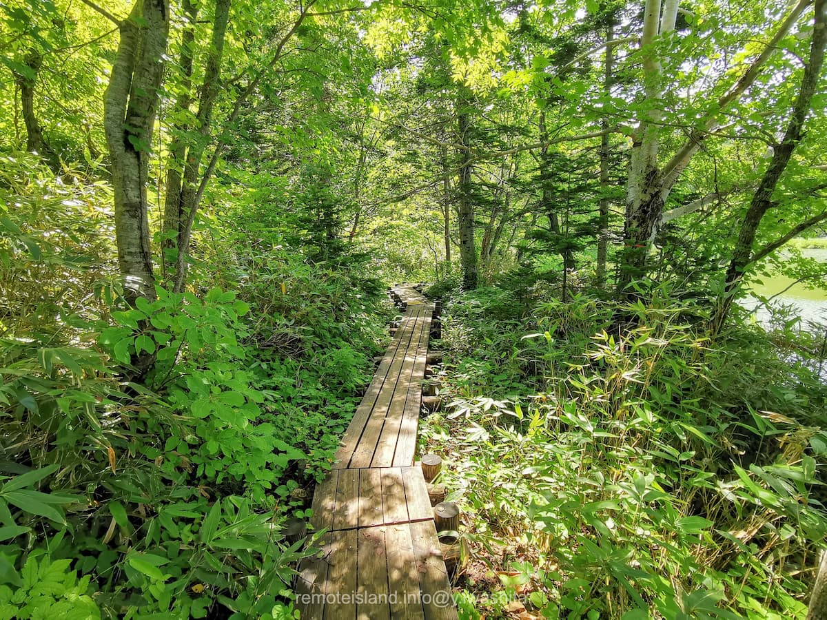 11遊歩道.jpg 11遊歩道