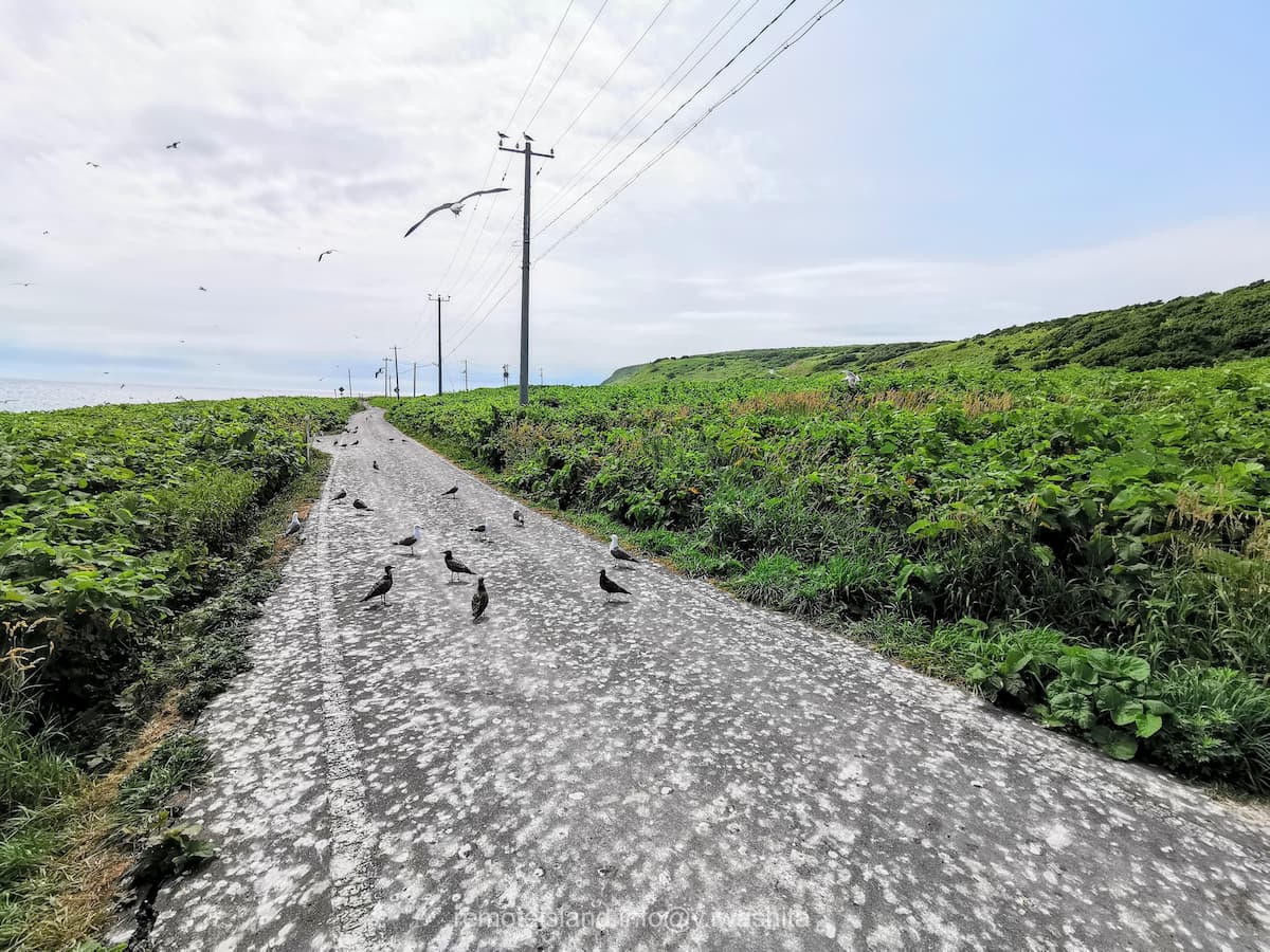07黒崎海岸付近.jpg 07黒崎海岸付近