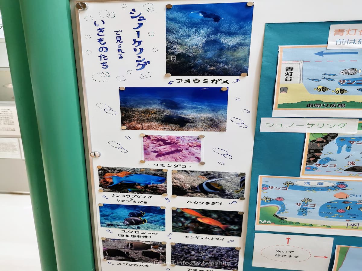 36シュノーケリング.jpg 36シュノーケリング