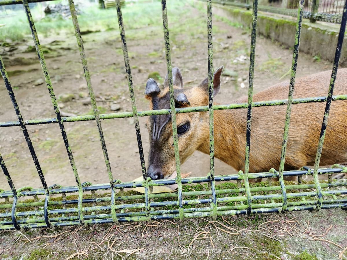 30キョン.jpg 30キョン