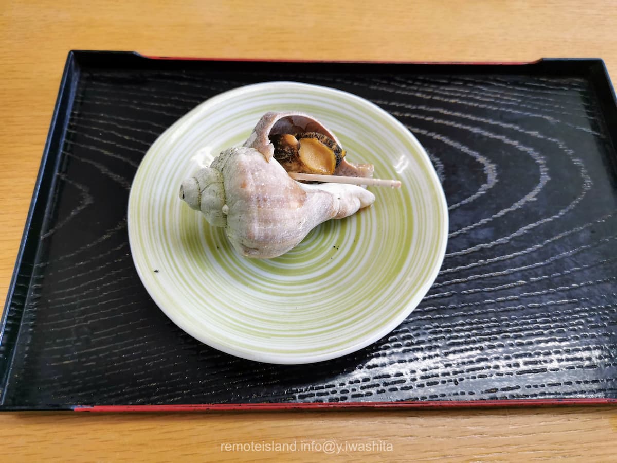 10サザエ.jpg 10サザエ