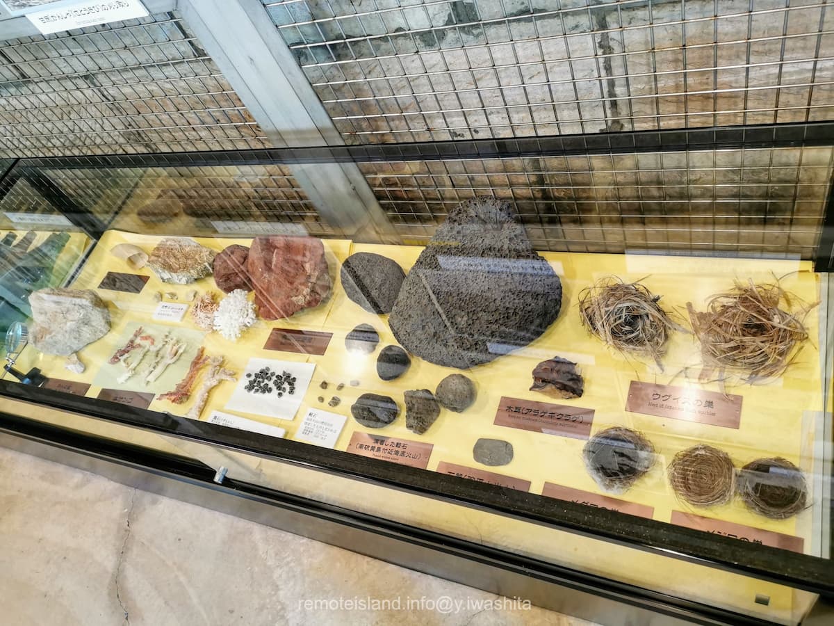 18サンゴや巣.jpg 18サンゴや巣