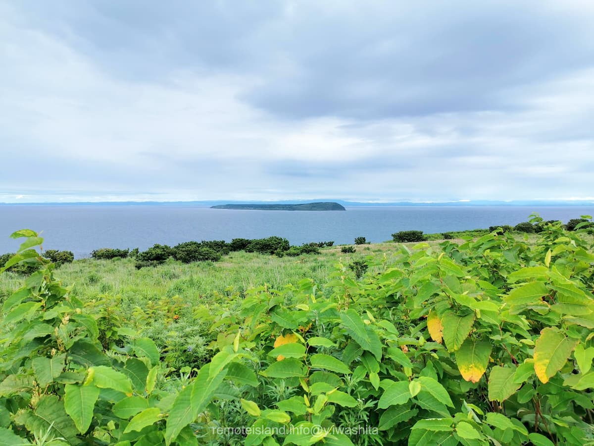40焼尻島.jpg 40焼尻島