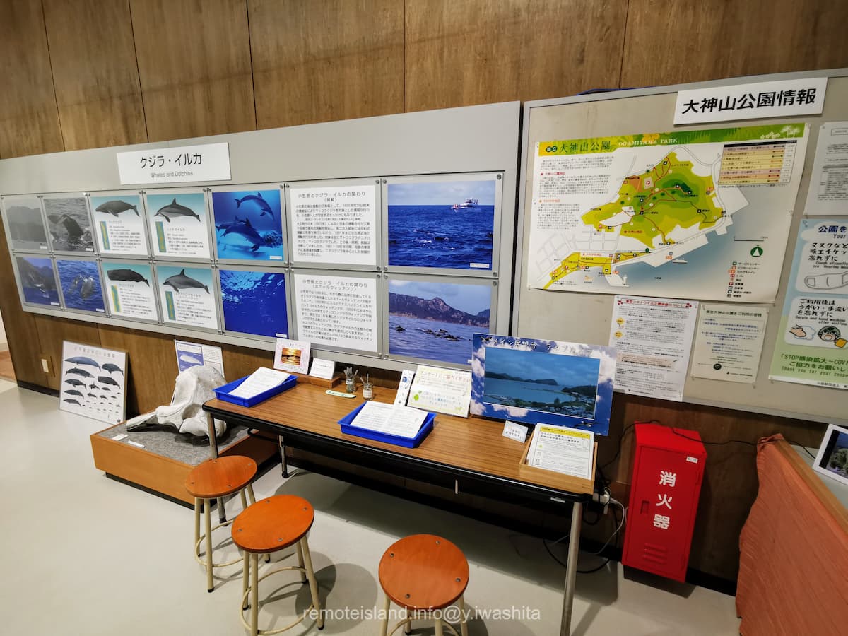 18情報コーナー.jpg 18情報コーナー