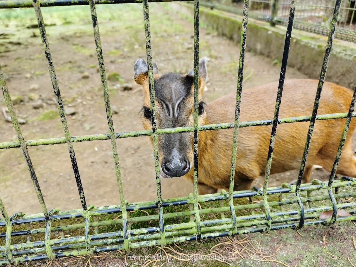 29キョン.jpg 29キョン