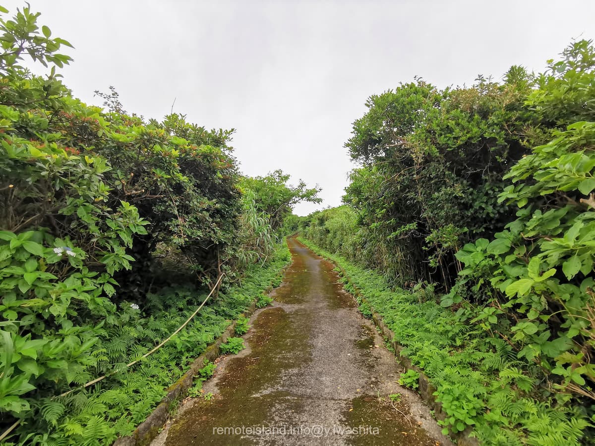 02歩道.jpg 02歩道