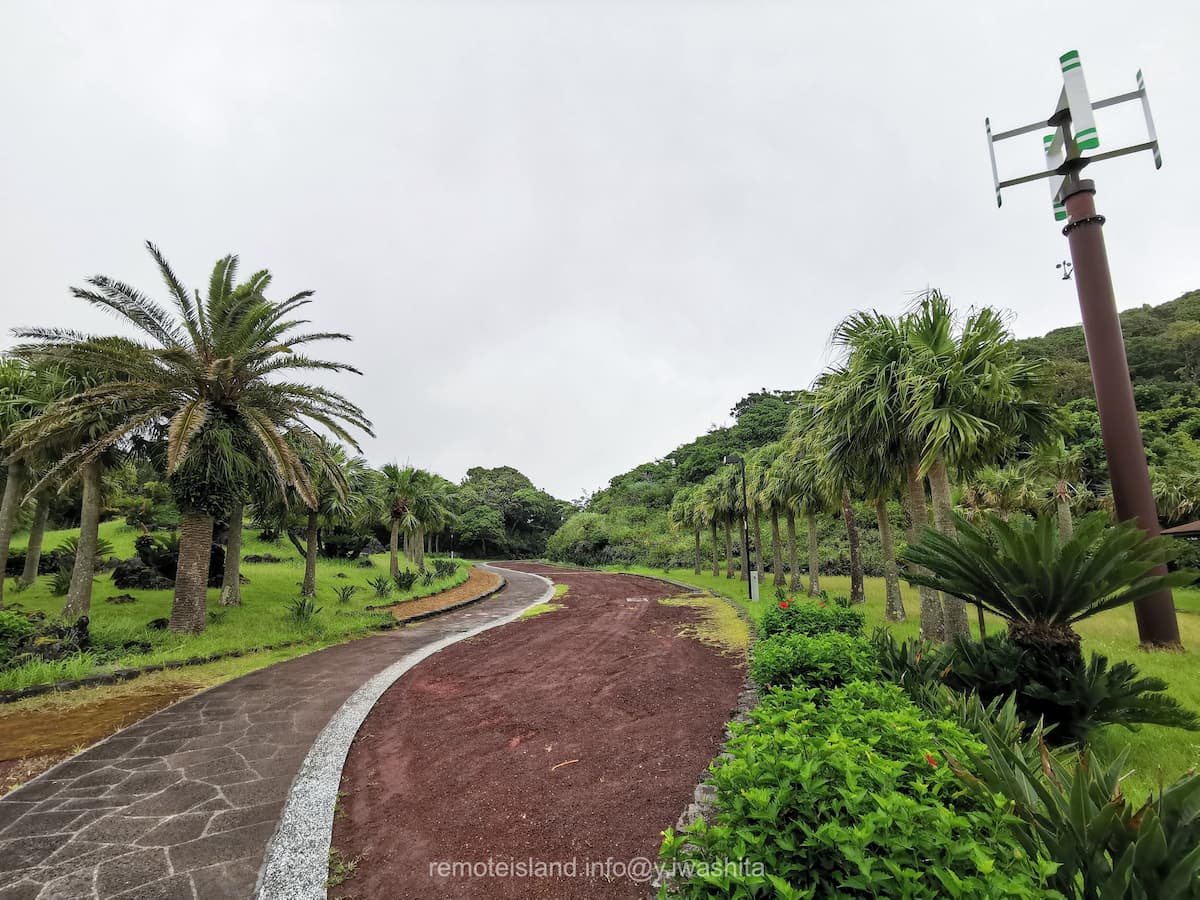 02歩道.jpg 02歩道