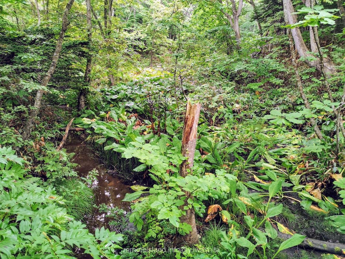 30雲雀ヶ丘公園.jpg 30雲雀ヶ丘公園
