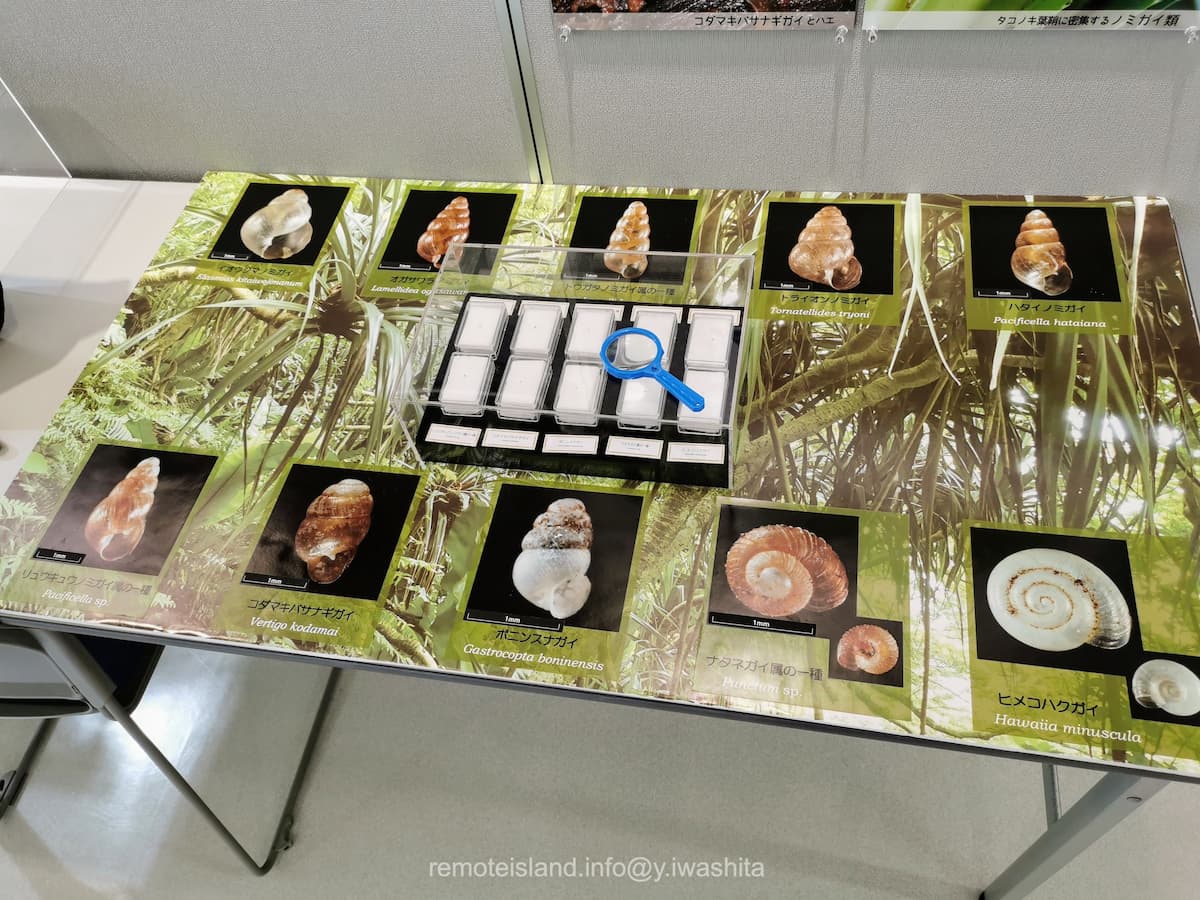 35硫黄列島.jpg 35硫黄列島