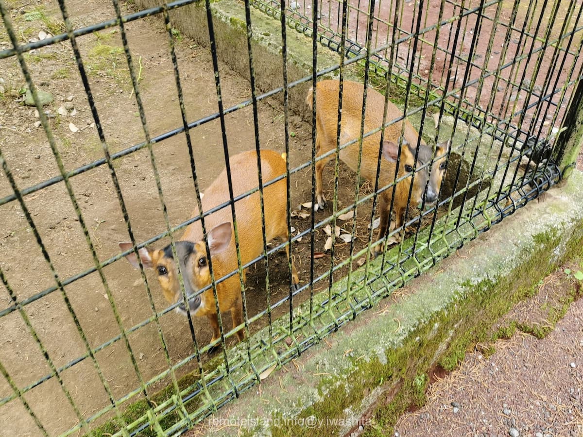 28キョン.jpg 28キョン