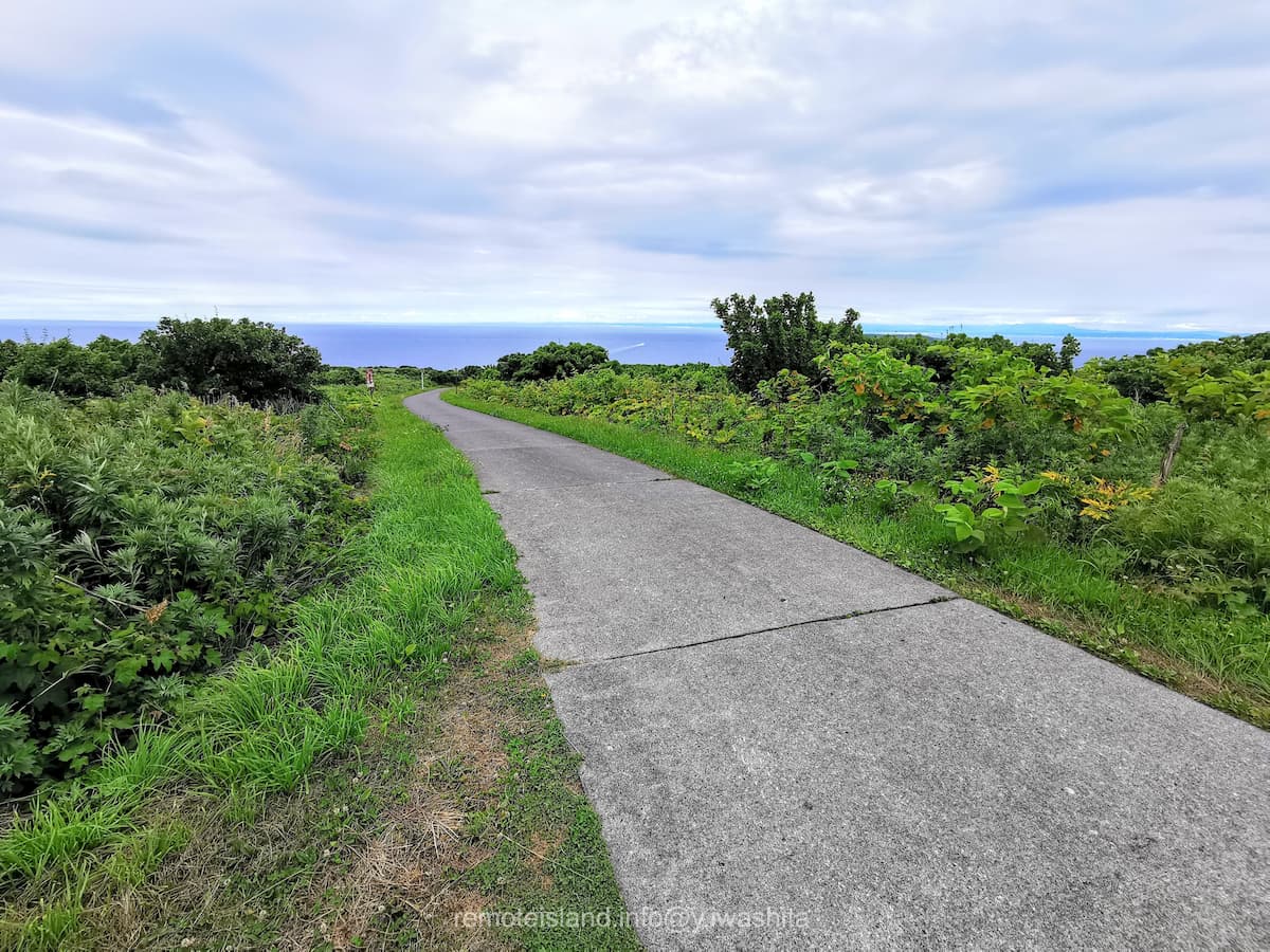 37西側.jpg 37西側