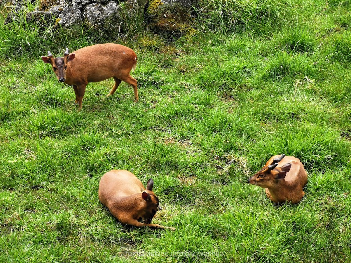 26キョン.jpg 26キョン