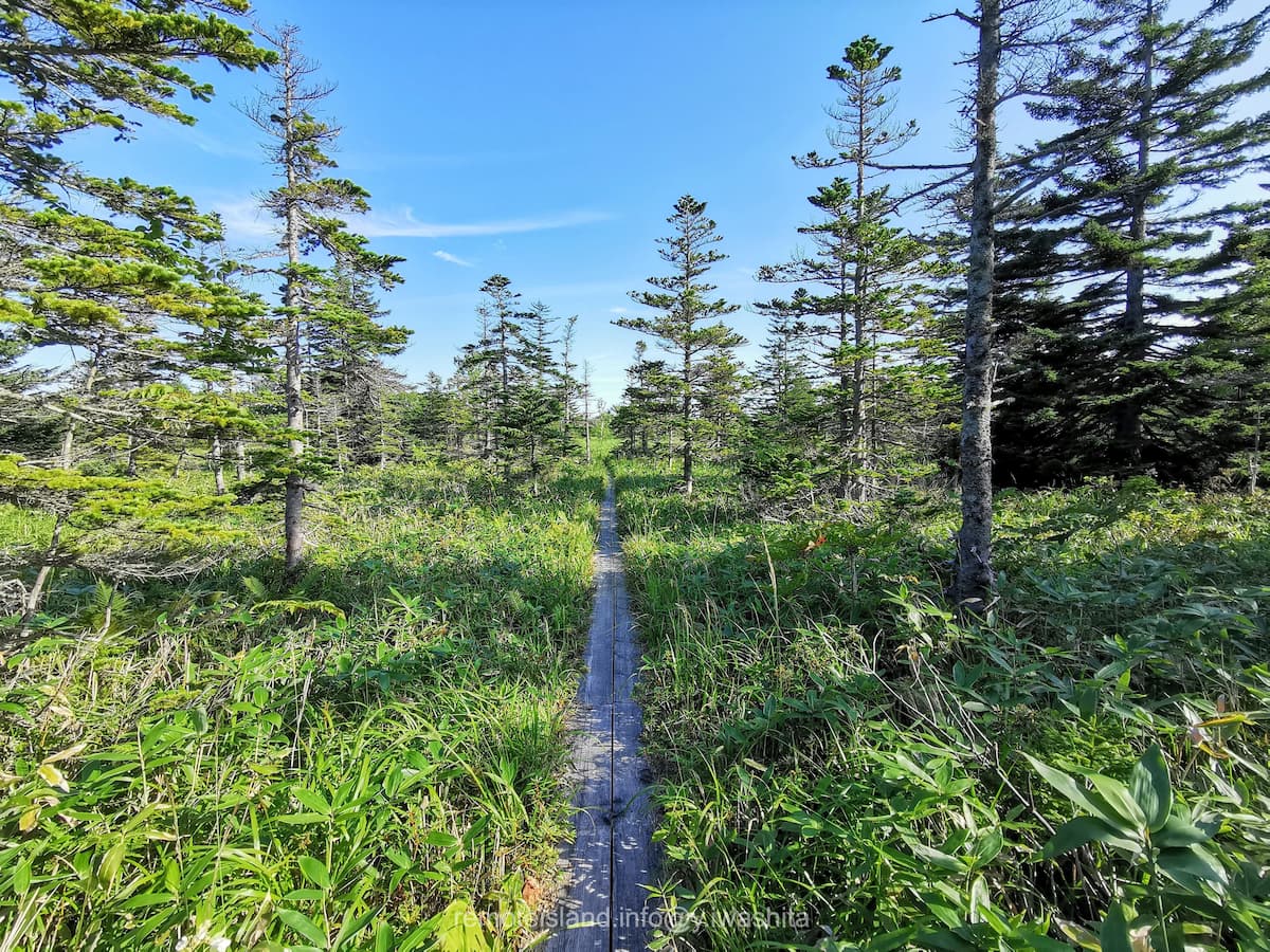 14南浜湿原.jpg 14南浜湿原