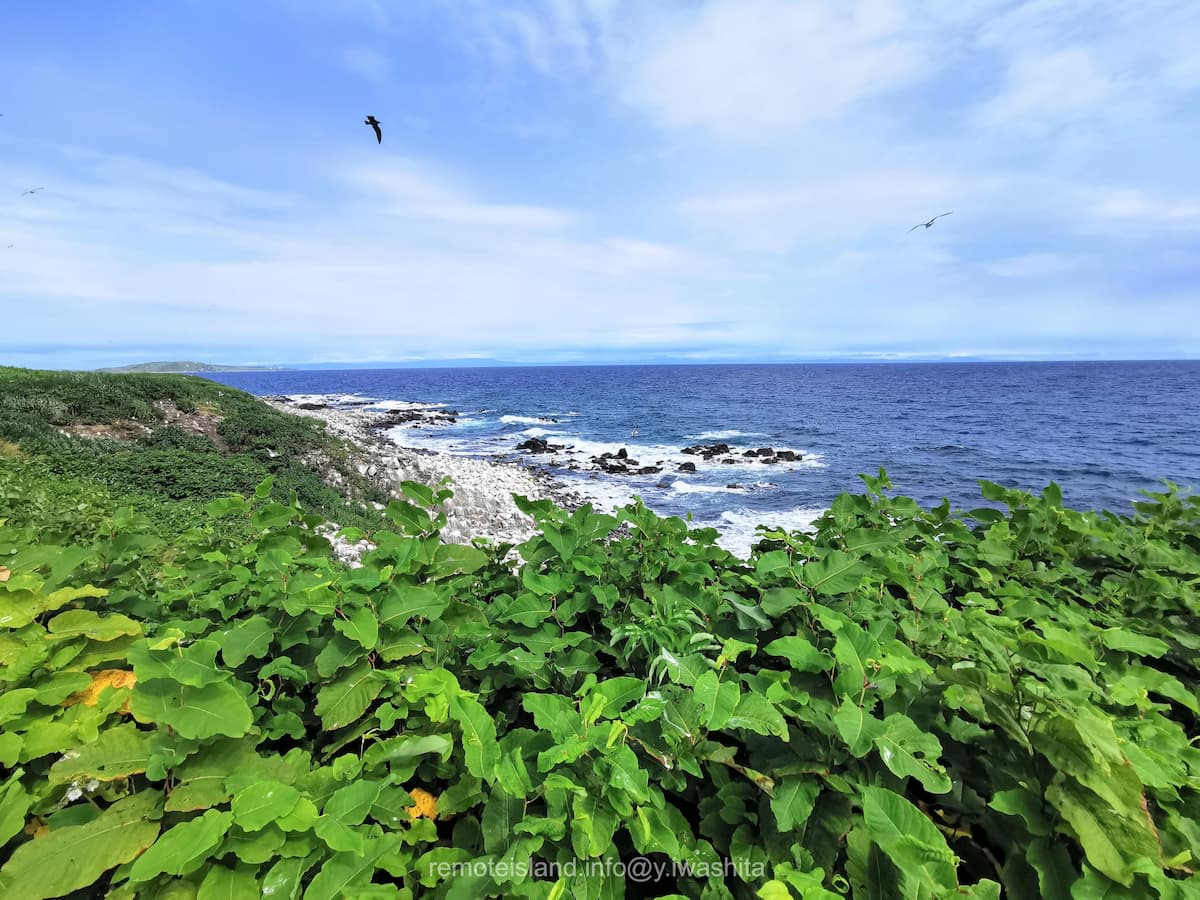 10黒崎海岸付近.jpg 10黒崎海岸付近