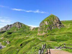 桃を見たいならここから 桃台猫台展望台【北海道 礼文島 観光】