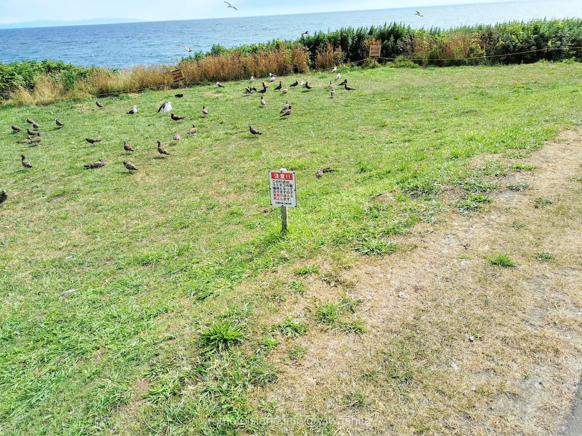 09黒崎海岸付近.jpg 09黒崎海岸付近