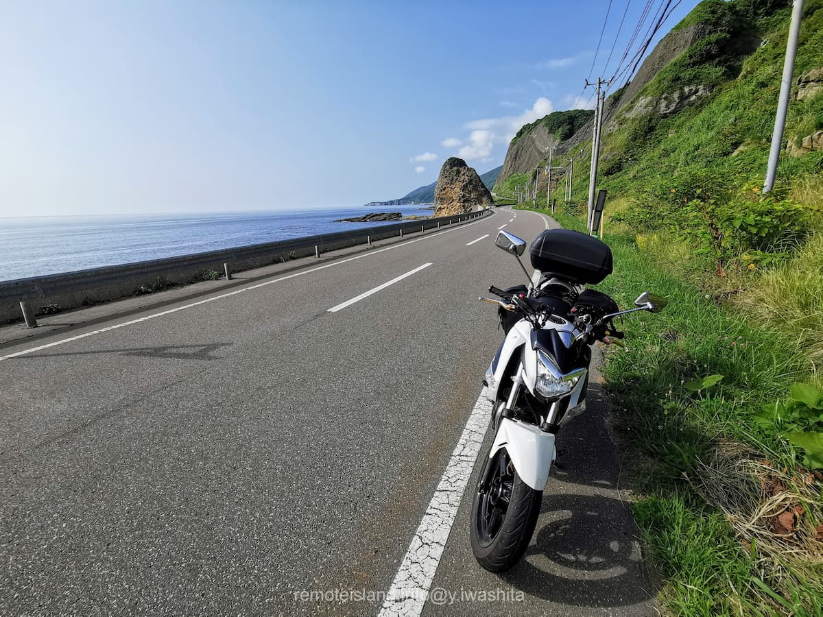 08ホヤ石.jpg 08ホヤ石