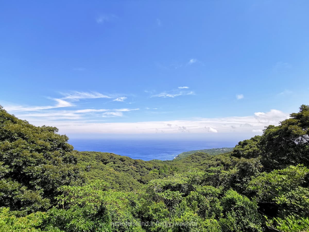 09登龍道路から.jpg 09登龍道路から