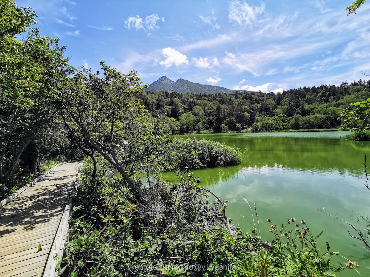 10遊歩道.jpg 10遊歩道