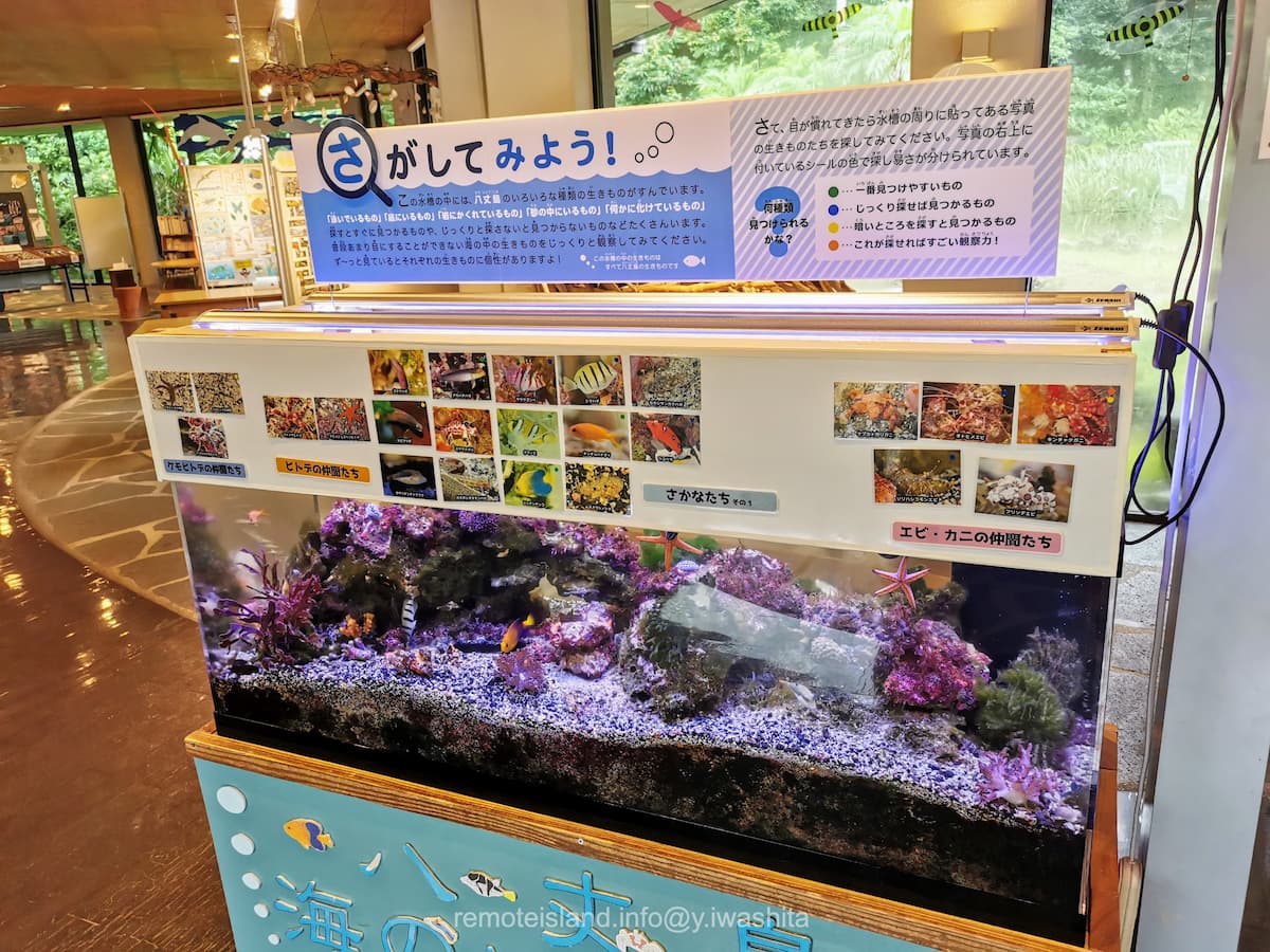 13水槽.jpg 13水槽