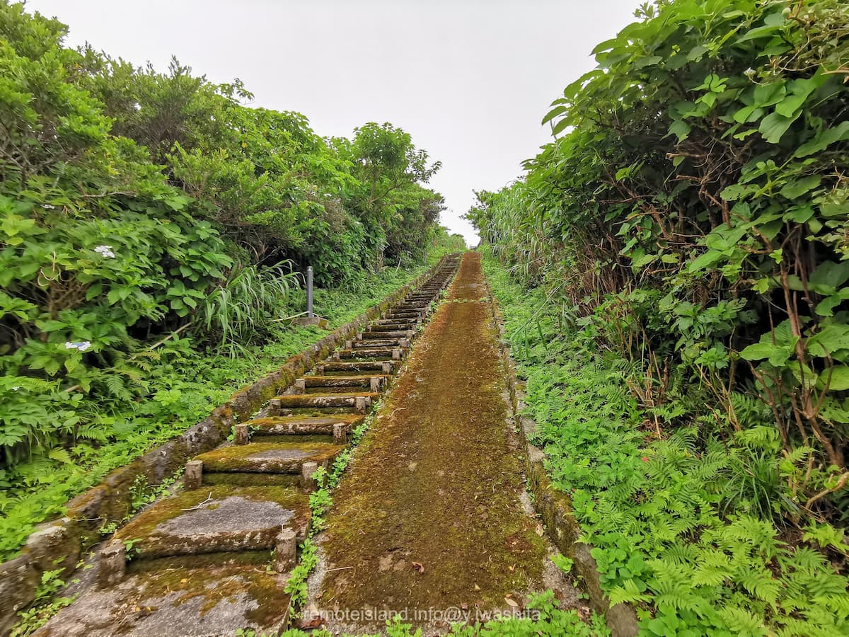 03歩道.jpg 03歩道