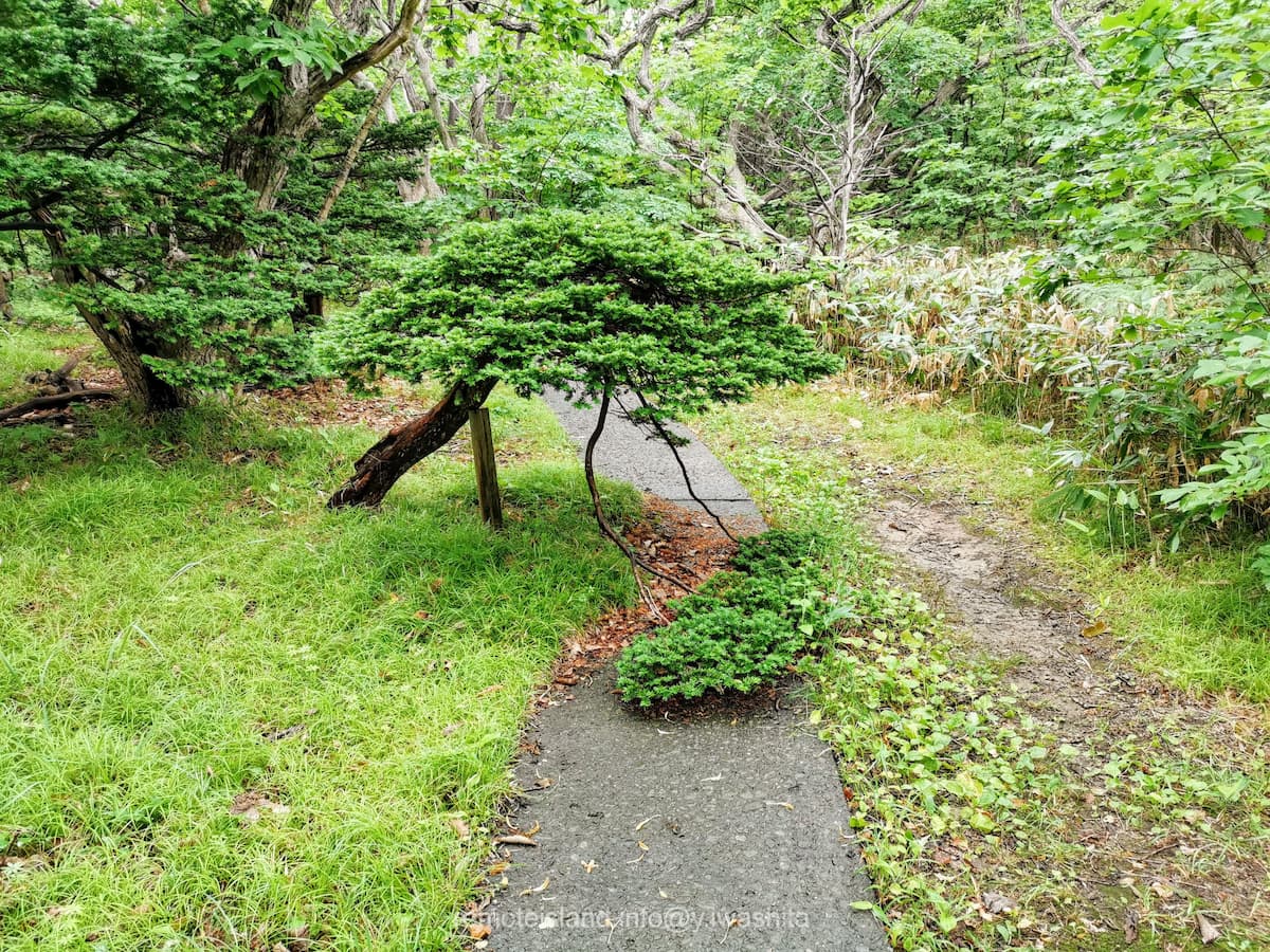 17通せんぼ.jpg 17通せんぼ