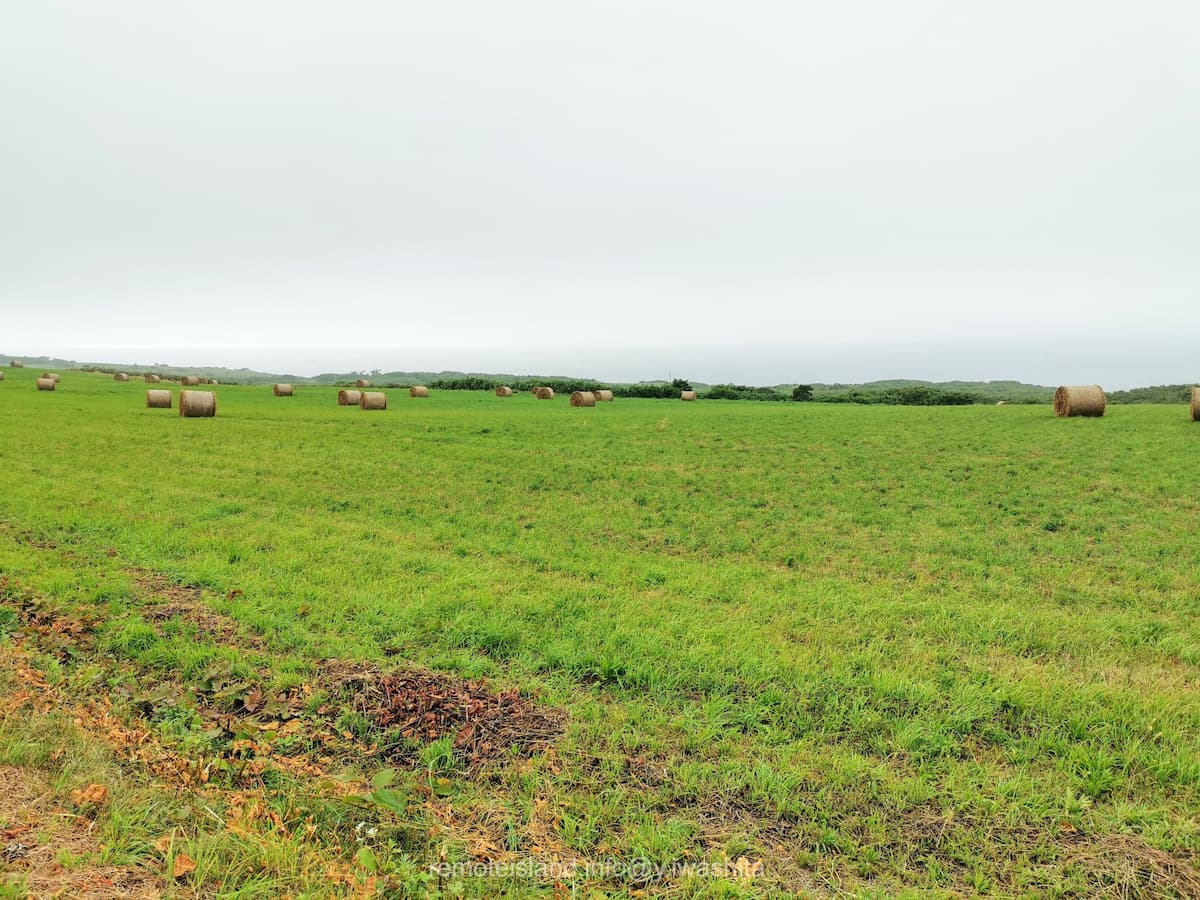 20めん羊放牧場.jpg 20めん羊放牧場