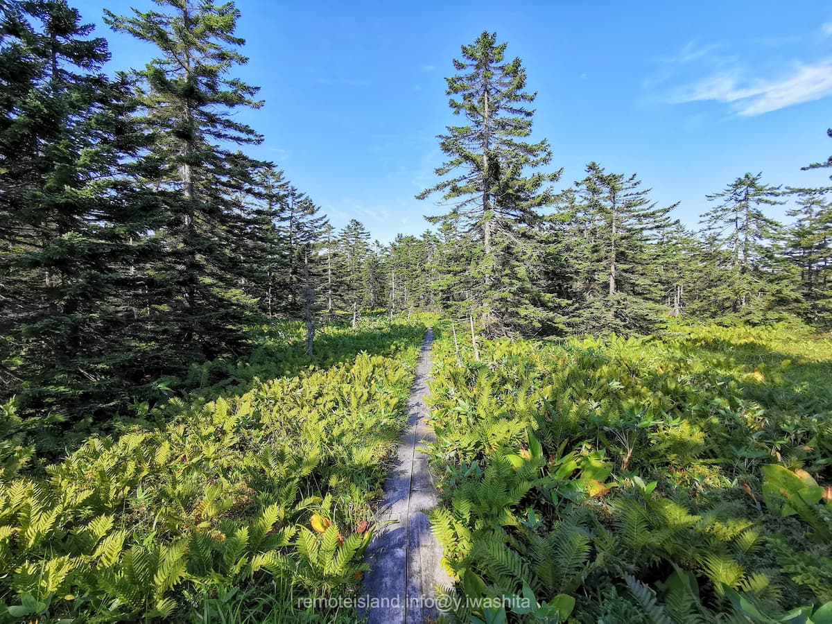 13南浜湿原.jpg 13南浜湿原