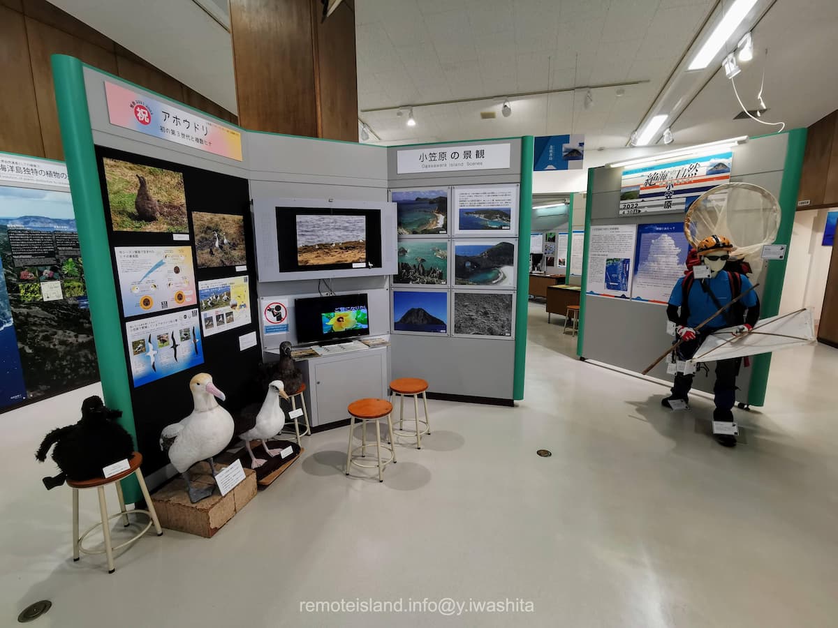 17情報コーナー.jpg 17情報コーナー