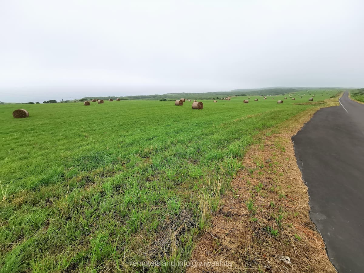 21めん羊放牧場.jpg 21めん羊放牧場