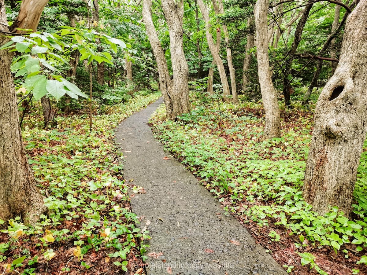 08うぐいす谷方面.jpg 08うぐいす谷方面