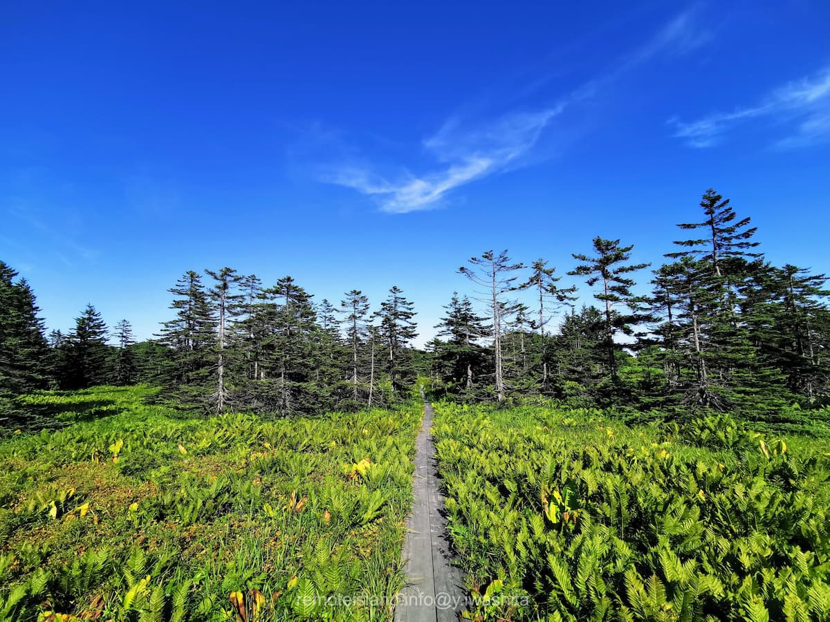10南浜湿原.jpg 10南浜湿原