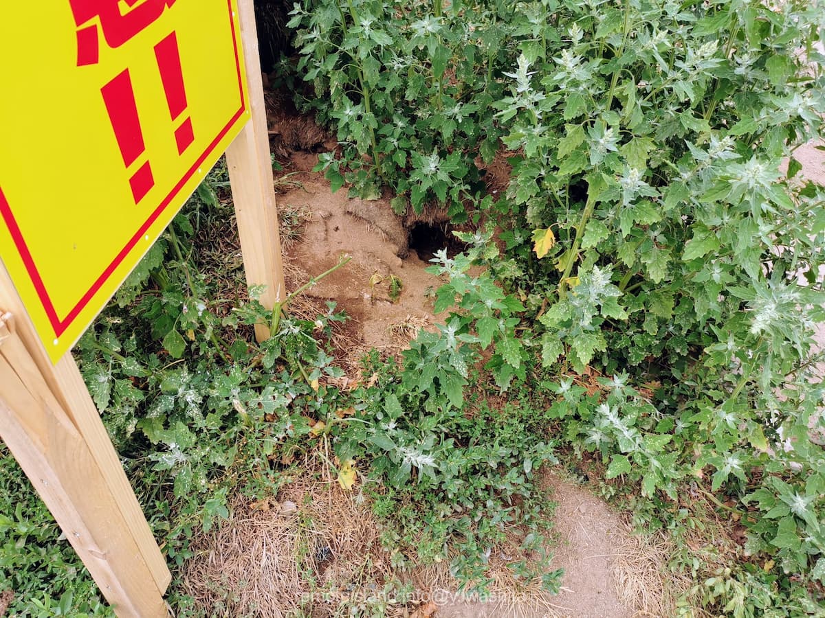 20穴あり.jpg 20穴あり