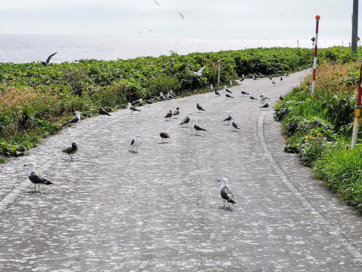 02黒崎海岸付近.jpg 02黒崎海岸付近