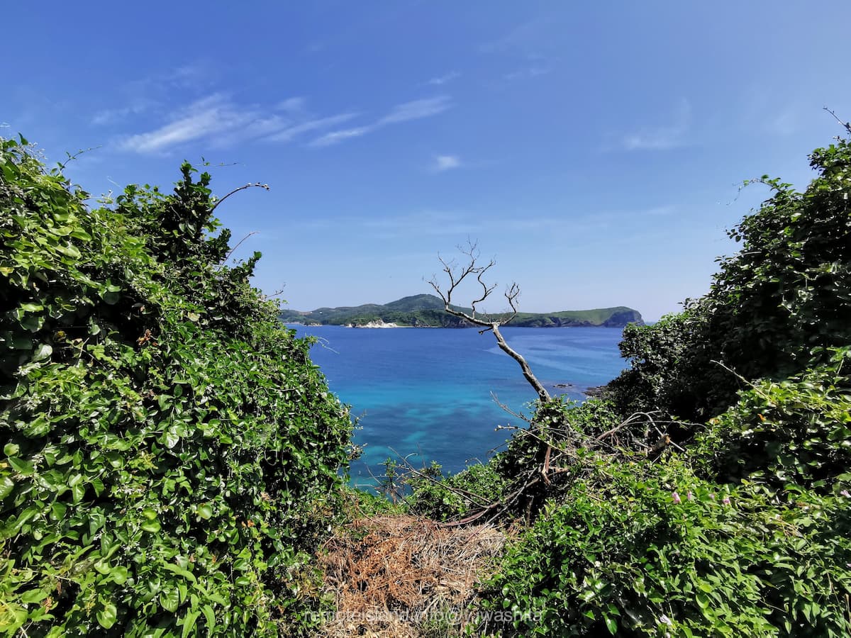 03歩道から.jpg 03歩道から