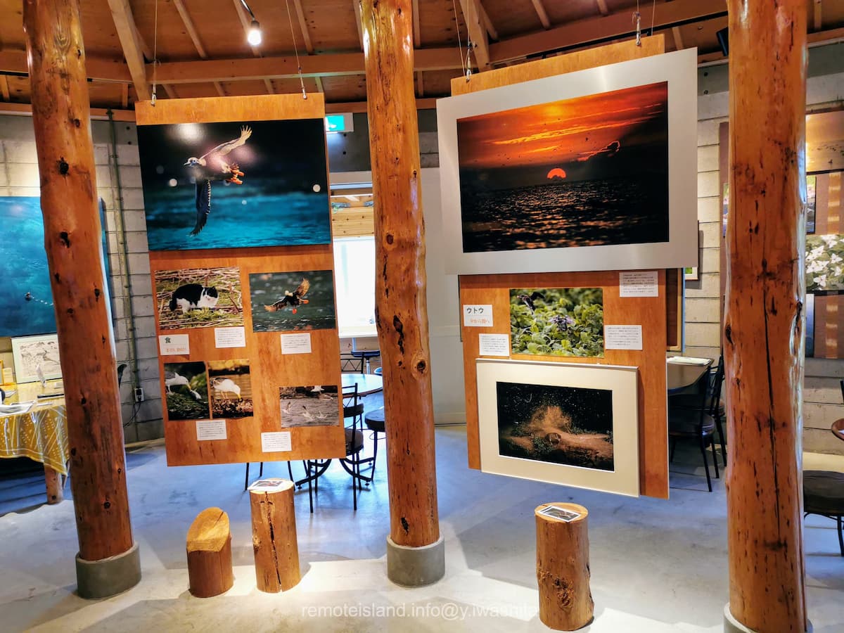 19食・ウトウ.jpg 19食 ウトウ