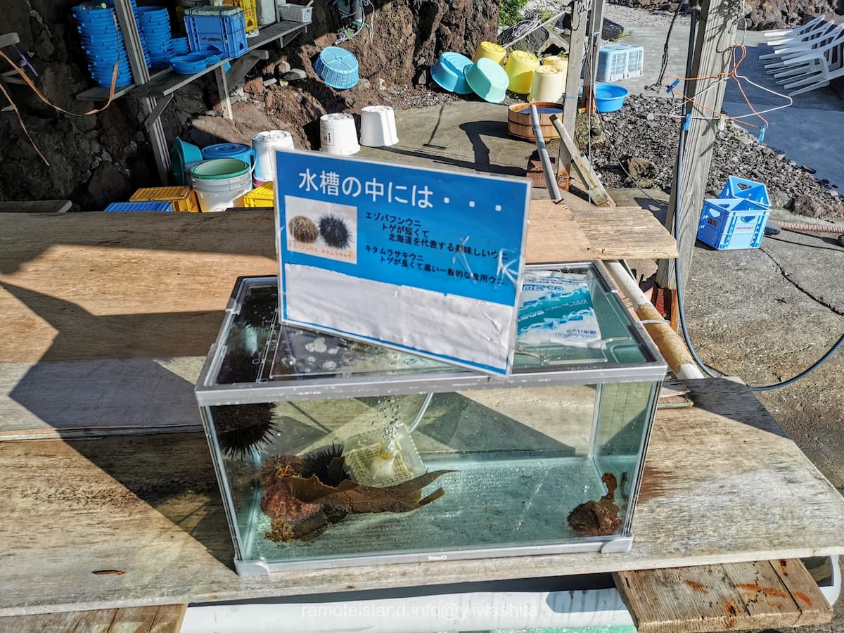 05ウニ.jpg 05ウニ