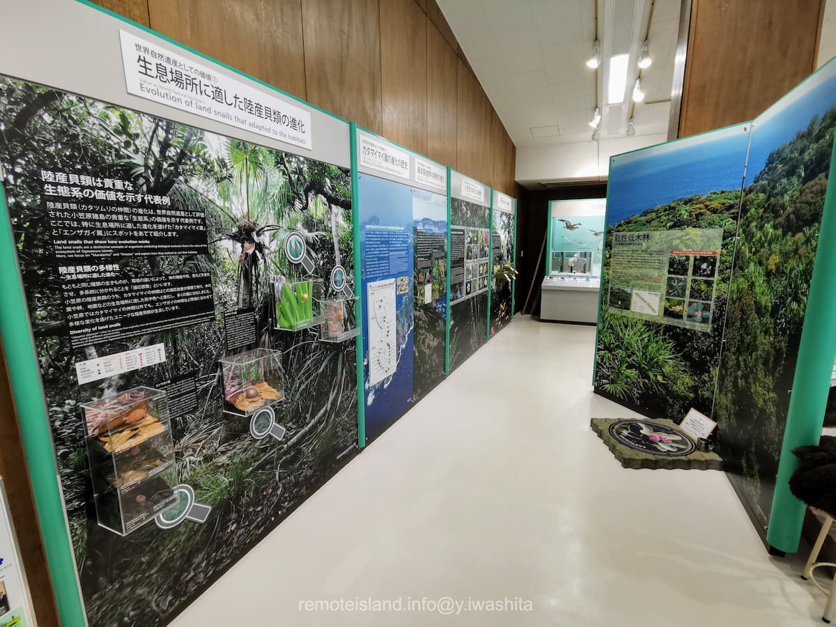 20情報コーナー.jpg 20情報コーナー