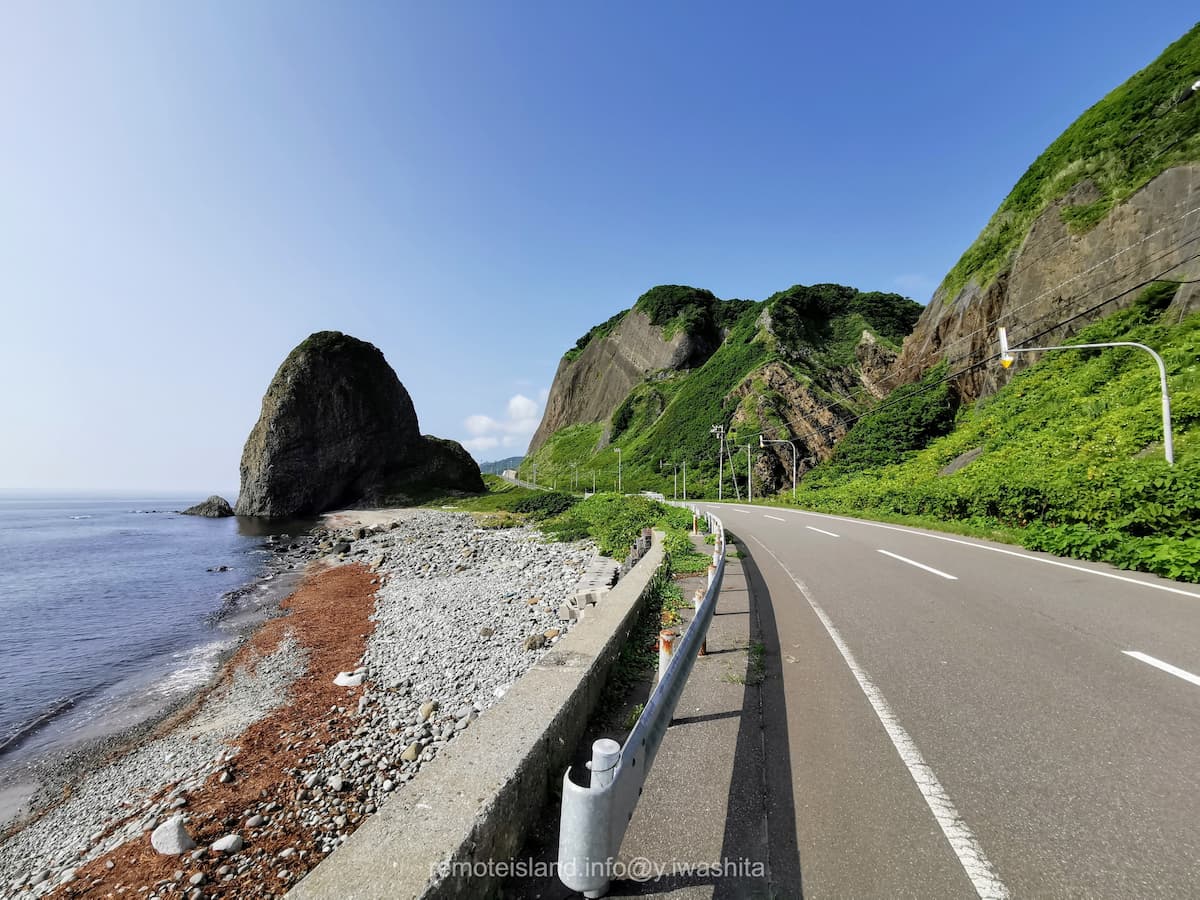 04ホヤ石.jpg 04ホヤ石