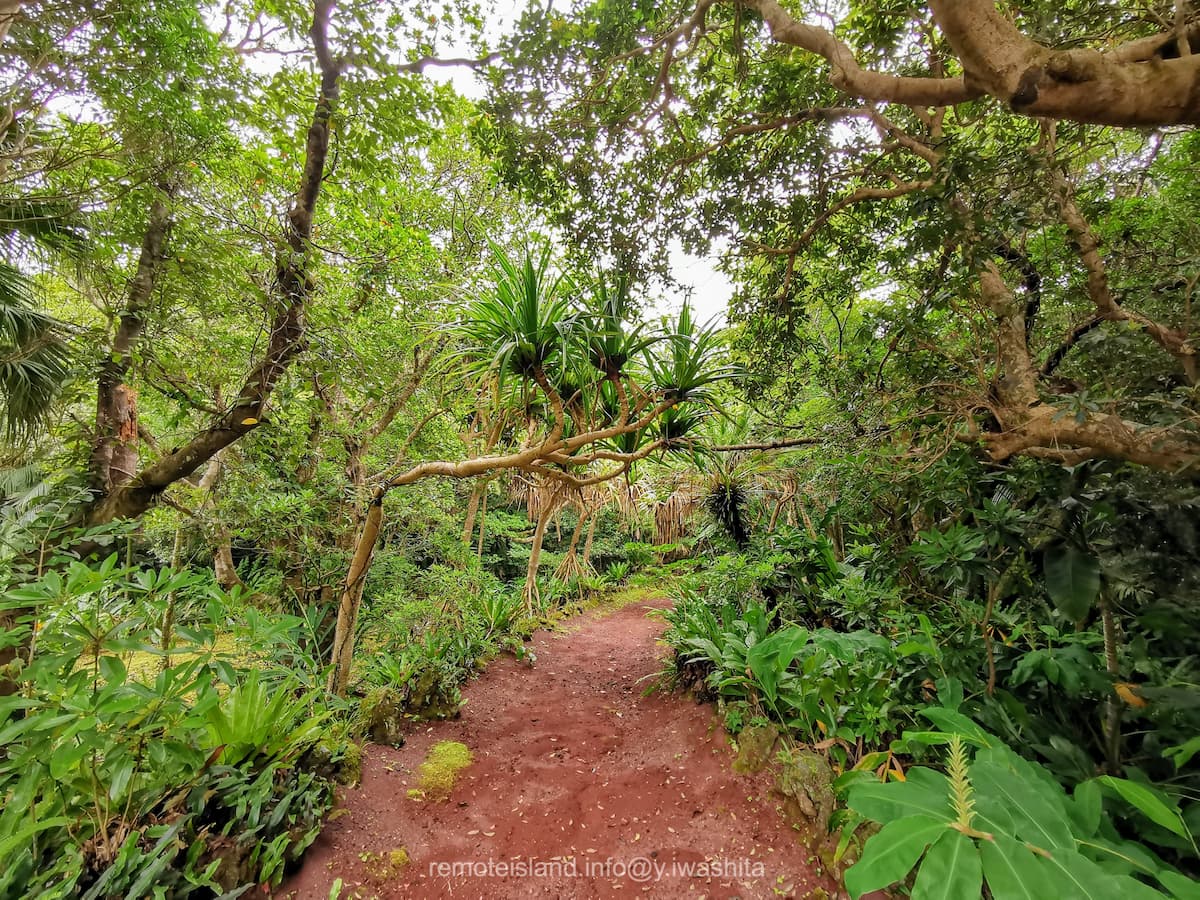 25世界の森.jpg 25世界の森