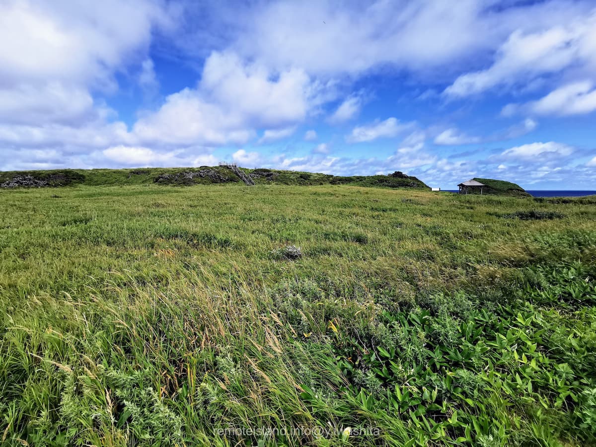 02富士野園地.jpg 02富士野園地