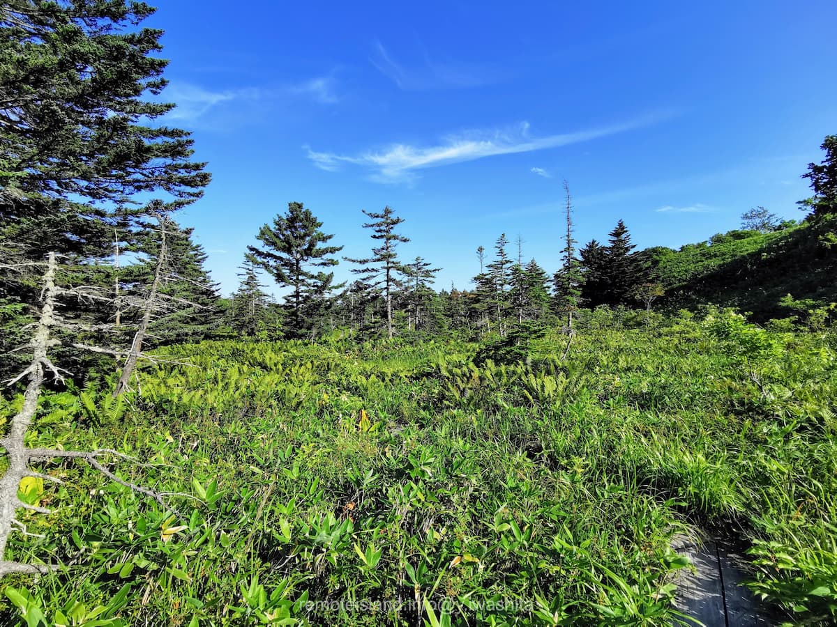 12遊歩道行き止まりから.jpg 12遊歩道行き止まりから