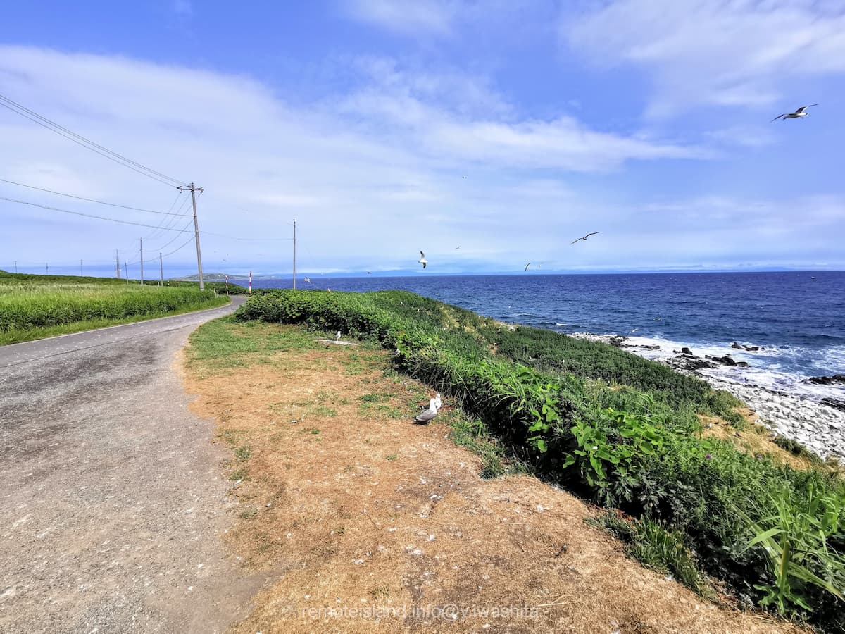 17黒崎海岸〜赤岩間.jpg 17黒崎海岸 赤岩間
